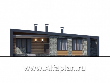 «Дельта» - проект одноэтажного дома с террасой, в стиле барн с фальцевыми фасадами - превью фасада дома