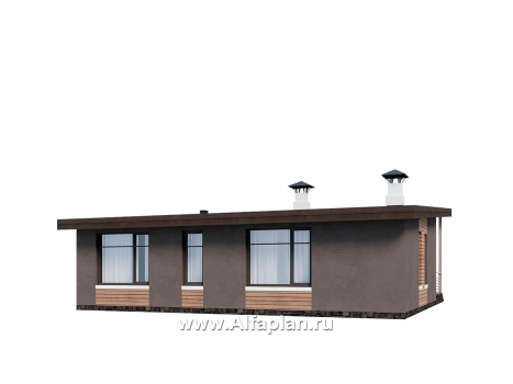 Проекты домов Альфаплан - "Талисман" - проект одноэтажного дома с односкатной кровлей - превью дополнительного изображения №2