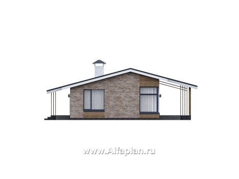 Проекты домов Альфаплан - "Алладин" - проект одноэтажного дома, мастер спальня, с террасой и красивым потолком гостиной со стропилами - превью фасада №4